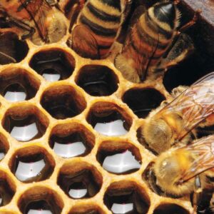 Nike Scarpe Running Nike Air Max